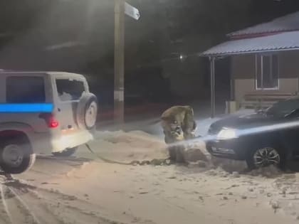 К луганским госавтоинспекторам в Меловском районе вчера поздно вечером обратился гражданин за помощью - он застрял на за