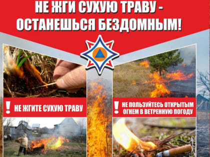 Никогда не поджигайте сухую траву!