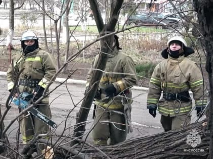 Спасатели ГУ МЧС России по Луганской Народной Республике продолжают устранять последствия циклона, сообщили в МЧС ЛНР