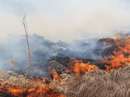 Высокий класс пожароопасности действует в ЛНР 10 и 11 мая