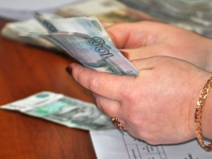 Минтруд: подтверждено более одного млрд руб. долга по зарплате перед бюджетниками ЛНР