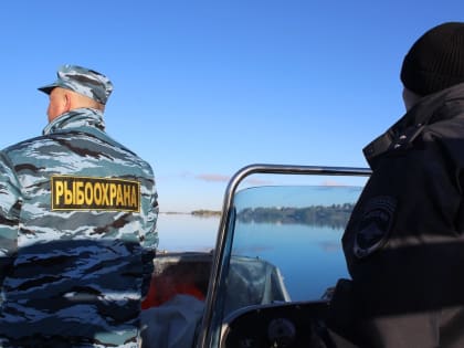 Нарушения в области рыболовства в Луганске