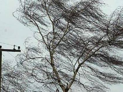 БОЛЕЕ 23 ТЫСЯЧ АБОНЕНТОВ В РЕСПУБЛИКЕ ОСТАЮТСЯ БЕЗ ЭЛЕКТРИЧЕСТВА