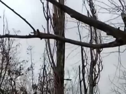 Спасатели устраняют последствия непогоды