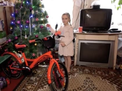 Пасечник подарил детям с "Елки желаний" велосипед, шведскую стенку и гироскутер