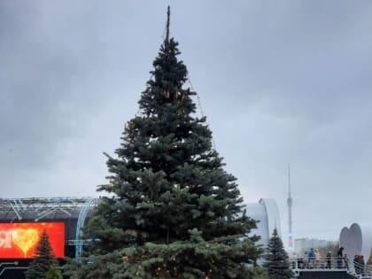 Елку Луганской Народной Республики на выставке «Россия» на ВДНХ украсят игрушки, выполненные мастерами народного клуба «