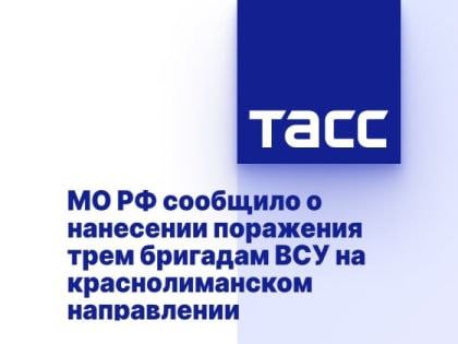 ВС РФ нанесли поражение трем бригадам ВСУ на краснолиманском направлении