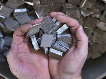 В Бундестаге раскрыли причину заинтересованности Запада в Украине