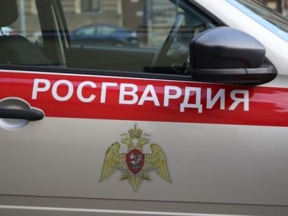 Росгвардия нашла в ЛНР схроны ВСУ с оружием НАТО