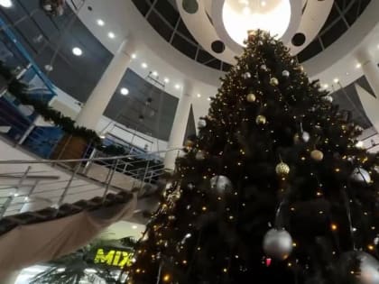 В Луганске продолжается сбор подписей в поддержку Путина