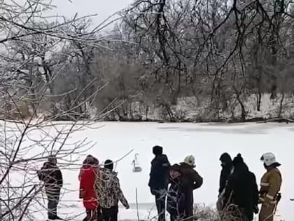 Чрезвычайно добрая спасательная операция