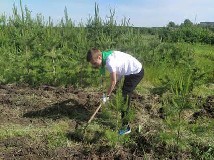 Экологи ЛНР в рамках "Марафона зеленых дел" провели ряд природоохранных мероприятий