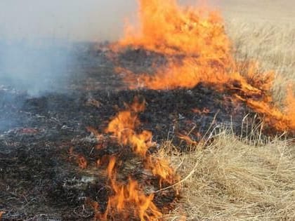 Высокая пожароопасность ожидается в северных, центральных и южных районах ЛНР до 23 июня