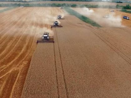 АГРАРИИ РЕСПУБЛИКИ ЗАСЕЯЛИ ЯРОВЫМИ 90% ЗАПЛАНИРОВАННЫХ ПЛОЩАДЕЙ