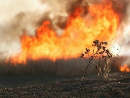 Высокая пожароопасность ожидается в северо-восточных районах ЛНР 26 и 27 мая