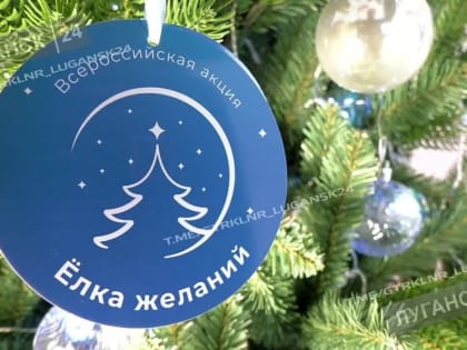 Врио Министра природных ресурсов и экологической безопасности Луганской Народной Республики Елена Бойко в рамках новогод