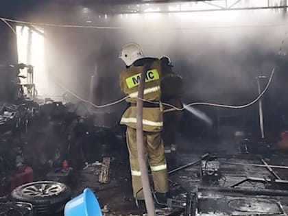 Пожар в гараже в Алчевске ликвидирован спасателями МЧС России