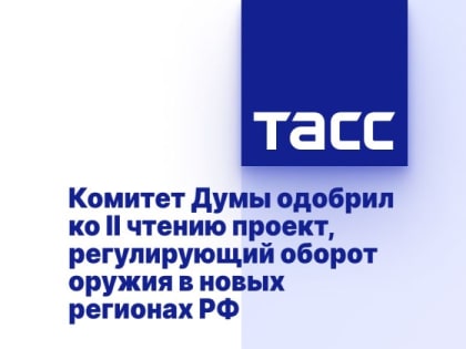 Комитет Думы одобрил ко II чтению проект, регулирующий оборот оружия в новых регионах РФ