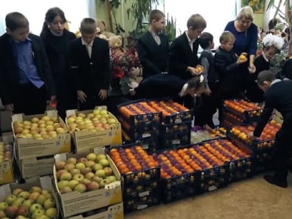 Полтонны чрезвычайных витаминов на зиму