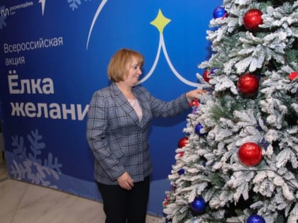 Представители Министерства труда и социальной политики ЛНР приняли участие во всероссийской новогодней акции «Елка желан