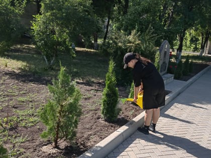 на территории школы №19  была высажена Аллея памяти героям-молодогвардейцам