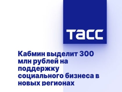 Кабмин выделит 300 млн рублей на поддержку социального бизнеса в новых регионах