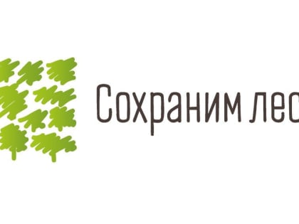 Минприроды ЛНР подвело итоги Всероссийской акции «Сохраним лес» на территории Республики, сообщили в министерстве