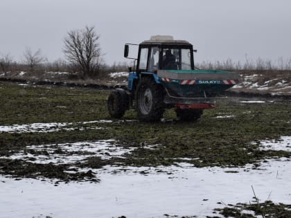 Аграрии региона провели работы по подкормке удобрениями более 20 тыс. га посевов озимых культур