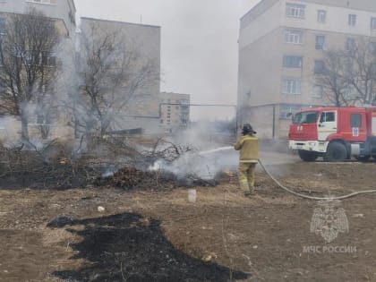 Жителей ЛНР настоятельно призвали не сжигать сухую листву и мусор на придомовой территории