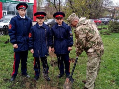 Луганские кадеты высадили уникальные сорта сирени в центральном сквере города