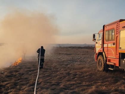 В ЛНР идёт борьба с ландшафтными пожарами: 28 из 39 пожаров за сутки - сухотравные