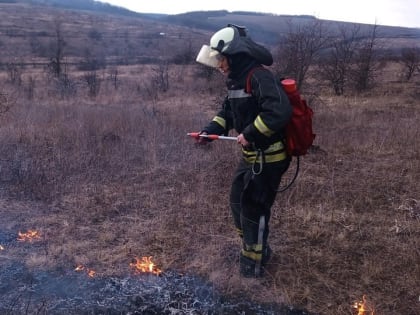 26 марта на территории Республики ликвидировано 60 пожаров, 41 из них – пожары в экосистеме.