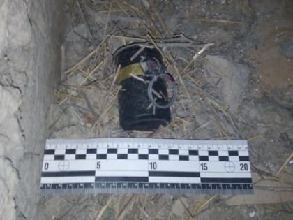 Чешскую гранату нашли у 19-летнего жителя Брянки ЛНР