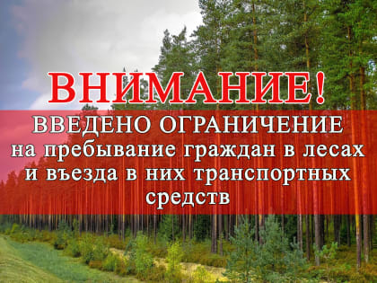 Меры по предотвращению лесных пожаров в Луганской Народной Республике