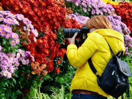 Старейший ботанический сад Донбасса в Луганске начнут восстанавливать в 2024 году