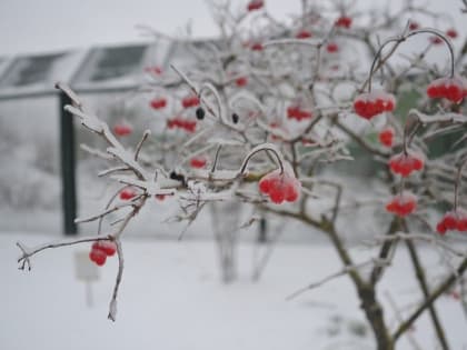 Более 540 тысяч человек в регионах РФ остаются без электричества из-за непогоды