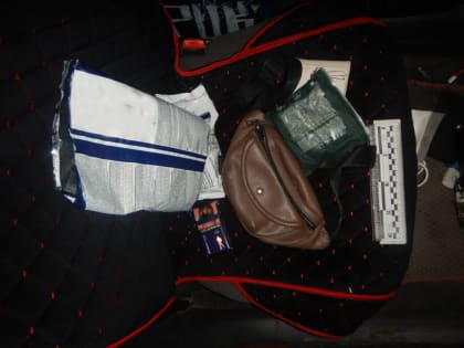 Полицейскими ЛНР обнаружены наркотические вещества при осмотре автомобиля жителей республики