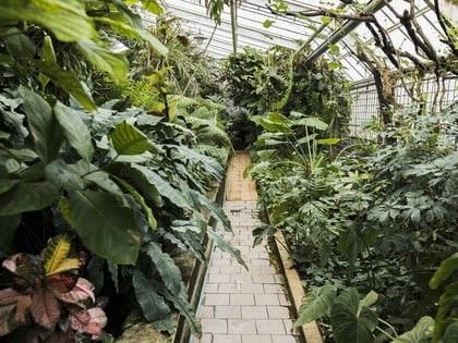 Строители планируют восстановить в этом году в Луганске кровли многоэтажек по 77 адресам