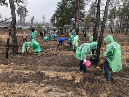 В Станице-Луганской в память о жертвах теракта в «Крокус Сити» и Героях Отечества высадили более 20 тысяч сосен