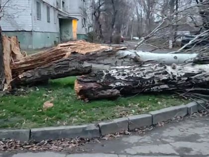 Пострадавших среди жителей Республики в результате непогоды нет, отметили в МЧС ЛНР