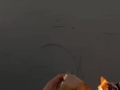 В Брянске пьянющая клубная девица сожгла российский паспорт в поддержку ВСУ