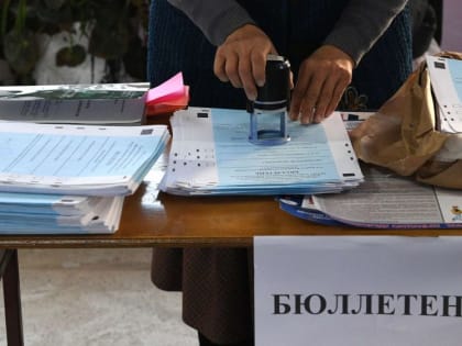 Выборы в новых регионах России: чем поможет Крым