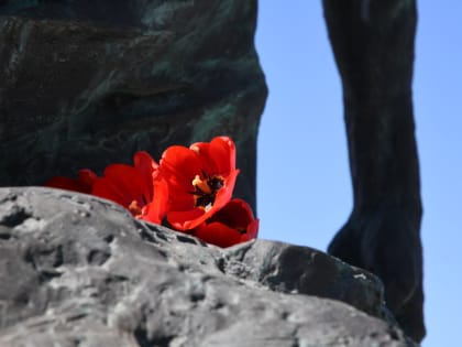 Представители власти и общественности ЛНР почтили память жертв украинской агрессии