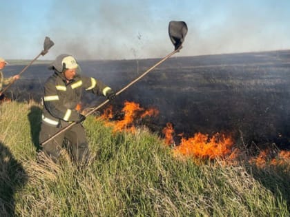 Почти 110 гектаров природы ЛНР уничтожено пожаром