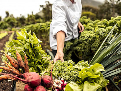 Жителям Луганска необходимо предоставить сведения о ведении личного подсобного хозяйства