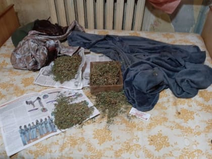 В Красном Луче полицейскими изъято 3 кг конопли