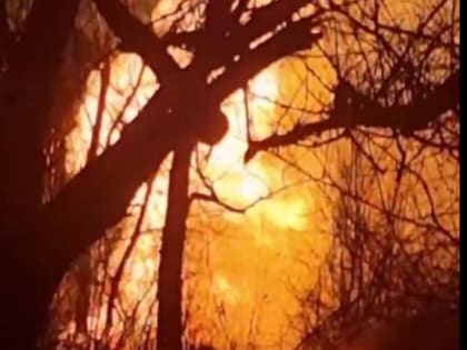Сотрудники «Луганскгаза» приступили к восстановлению газопровода в Лутугино
