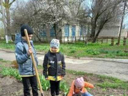 Более 15 тыс. обучающихся приняли участие в природоохранных акциях РЦЭНТ в 2022 году