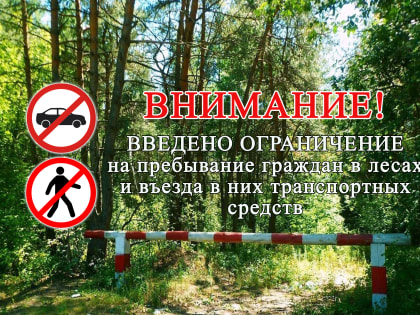 Меры по предотвращению лесных пожаров в Луганской Народной Республике