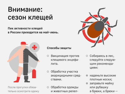 Памятка. Об инфекциях, передающихся клещами